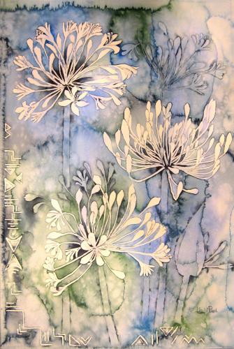 Agapanthus africanus<br>52 x 34 cm