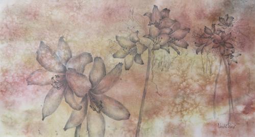 Amaryllis belladonna<br>(march lily)<br>61 x 30 cm