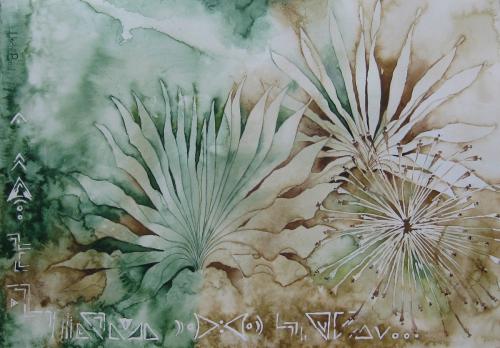 Boophone-disticha<br>(century plant)<br>52 x 34 cm