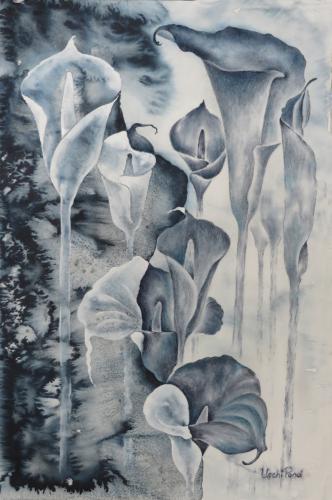 Dividing Line<br>52 x 34