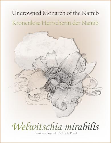 Welwitschia mirabilis