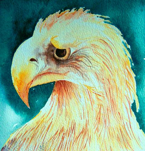 Eagle3<br>18 x 17 cm