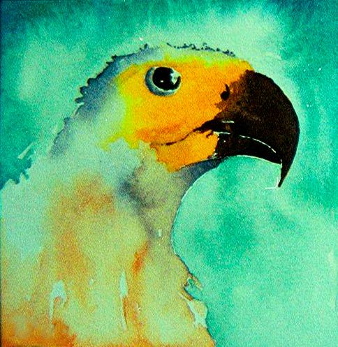 Eagle2<br>10 x 10 cm