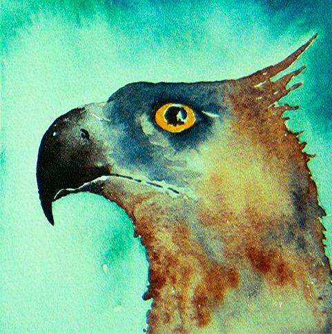 Eagle1<br>10 x 10 cm