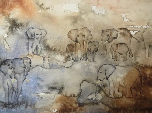 Elephants2<br>45 x 31 cm