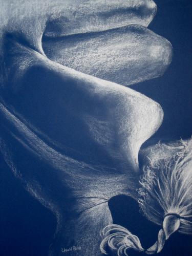 Pony Tail<br>64 x 49