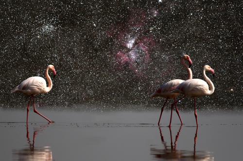 Flamingo Lagoon<br>Eta Carinae Nebula<br>135 x 90 cm
