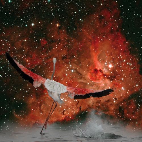 Flamingo-Wings<br>Eta Carinae Nebula<br>137 x 91 / 90 x 90 cm