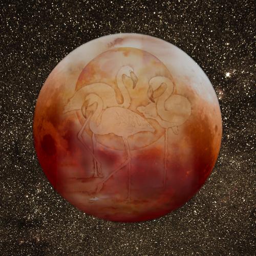 Flamingo - Moon Eclipse<br>110x110 cm