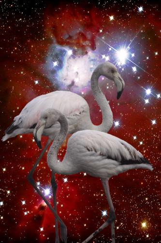 Flamingo - Cone Nebula<br>90 x 60 cm