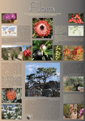 Flora<br>119 x 84 cm