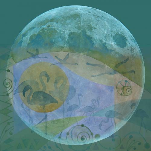 Full Moon - Flamingo2<br>87 x 87 cm