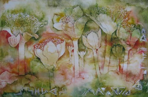 Haemanthus coccineus<br>(april fool)<br>52 x 34 cm