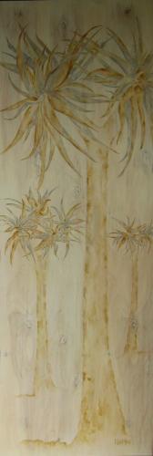 Aloidendrum dichotomum<br>(quiver tree)<br>150 x 50 cm