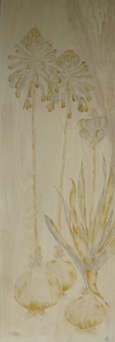 Pseudogaltonia clavata<br>(gifbol)<br>150 x 50 cm