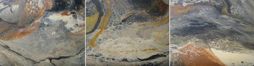 Welwitschia Desert Triptych<br>75 x 60 each panel