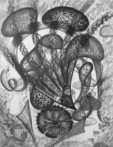 Convoluted Jelly Fish<br>60 x 46 cm
