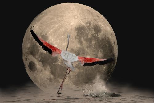 Flamingo-Wings Full Moon2<br>135 x 90