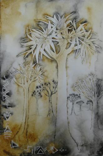 Aloidendron dichotomum(1)<br> (quiver tree)<br>52 x 34 cm