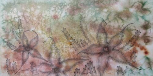 Stapelia schinzii<br>(african starfish flower)<br>62 x 30 cm