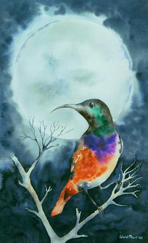 Sunbird<br>53 x 33 cm