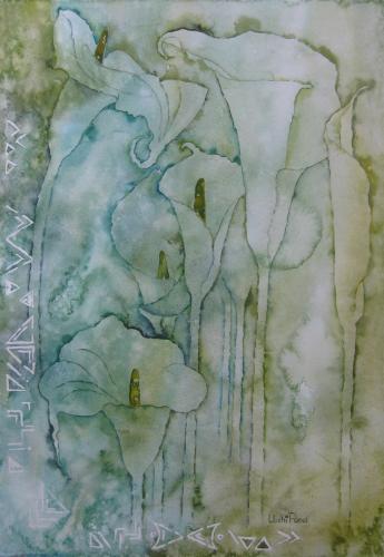 Zantedeschia aethiopica<br>(arum lily)<br>52 x 34 cm